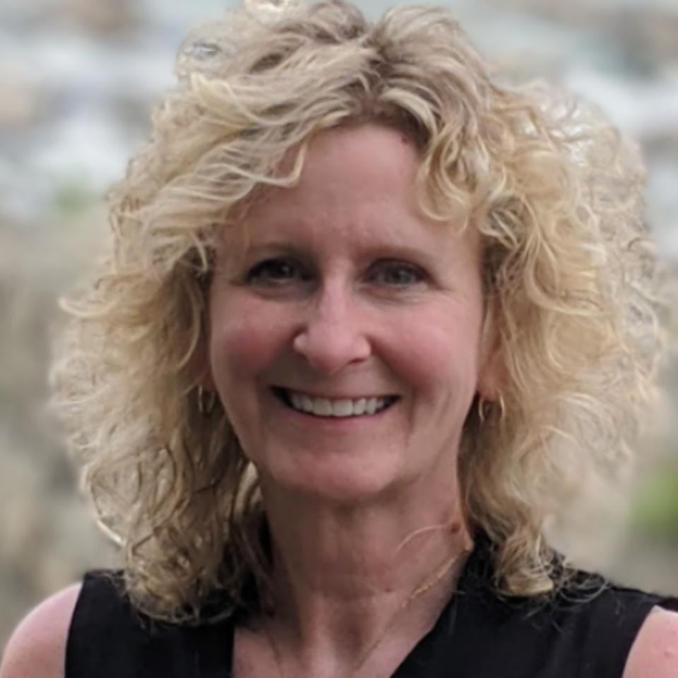 Lisa Carroll