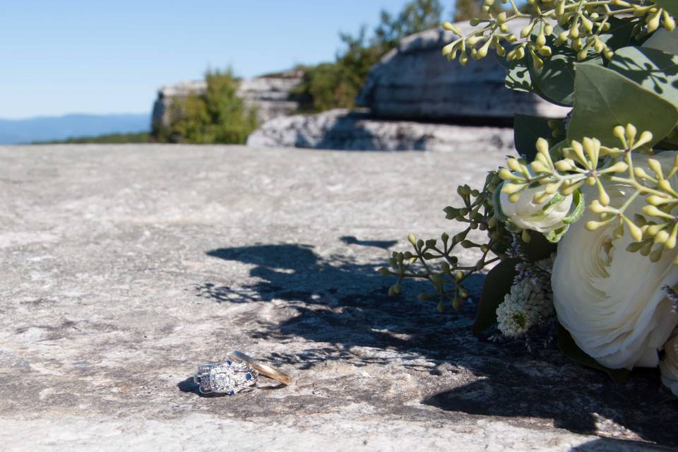 NYSAM'S POINT PRESERVE