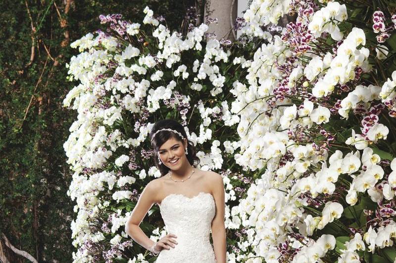 Style #3721
A strapless tulle pick-up ball gown that is complemented by an asymmetrical drop waist. This style has a sweetheart neckline done in beaded lace and 3D flowers. It also has a lace up back and a pick-up chapel length train.