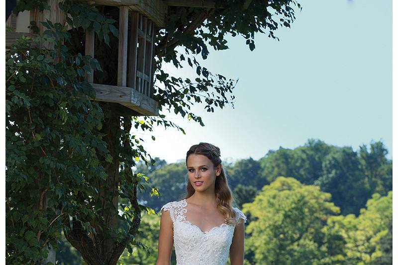 Style 3982	<br>	Beaded Corded Lace and Tulle Ball Gown with Queen Anne Neckline