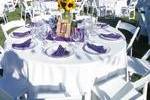 Sheer Elegance Parties
