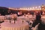 Sheer Elegance Parties