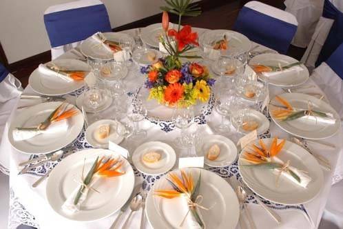 Sheer Elegance Parties
