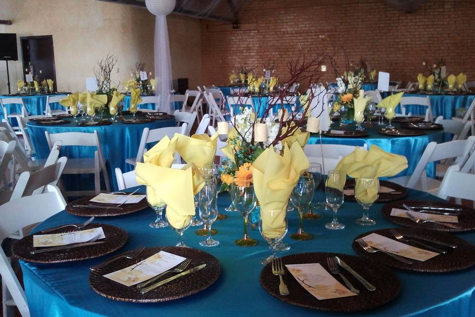 Sheer Elegance Parties