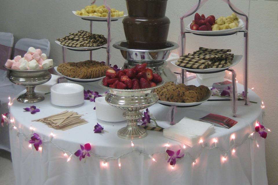 Sheer Elegance Parties