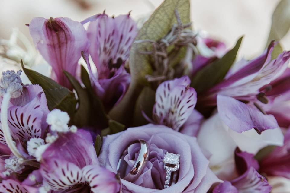 Jessica Fox Photography