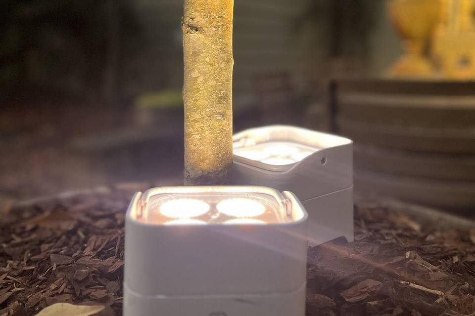 Lighting for outdoor decor