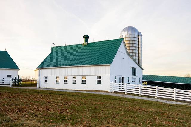 The Pasture