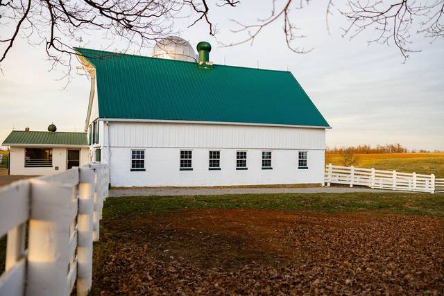 The Pasture
