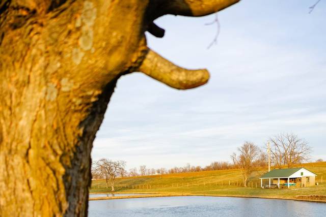 Lakes