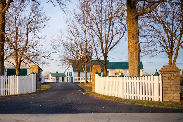 The Pasture
