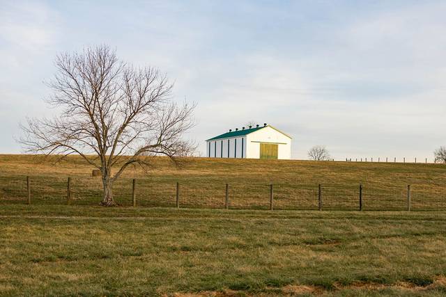 The Pasture
