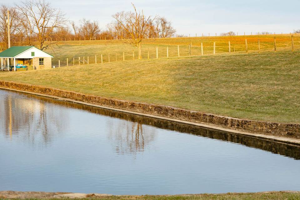 The Pasture