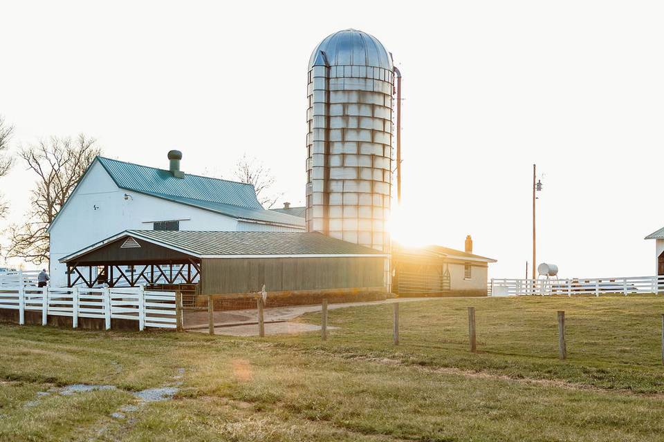The Pasture