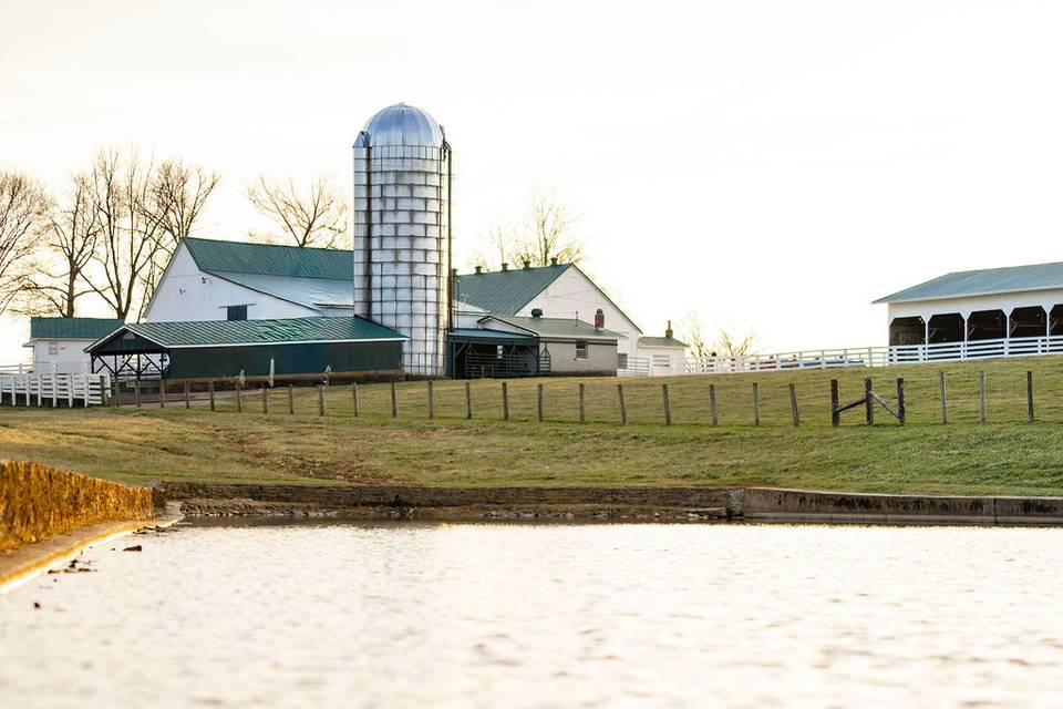 The Pasture