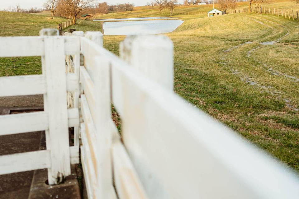 The Pasture