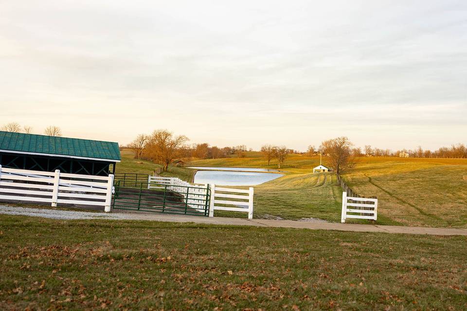 The Pasture