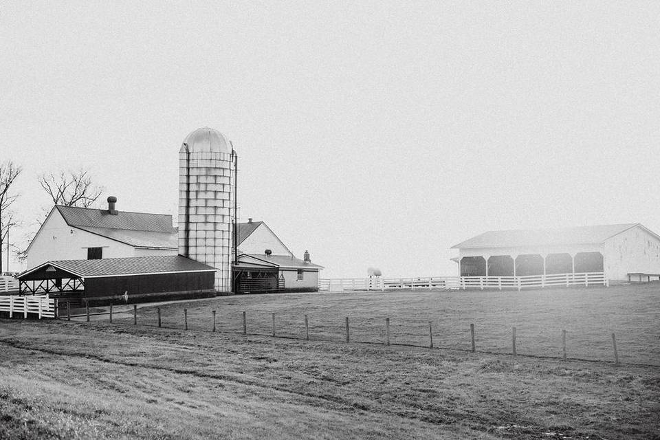 The Pasture