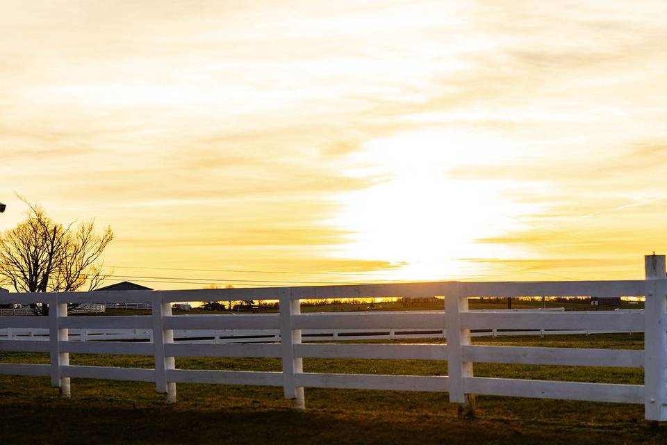 The Pasture
