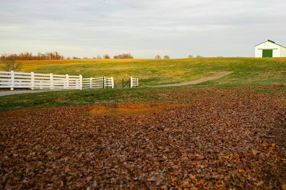 The Pasture