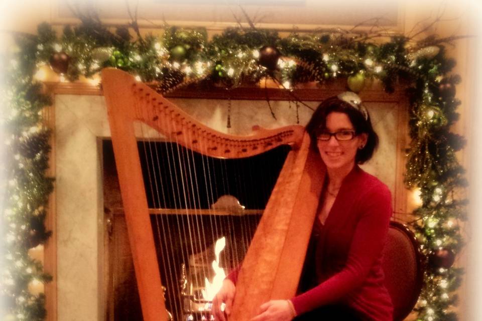 Holidays with Harp