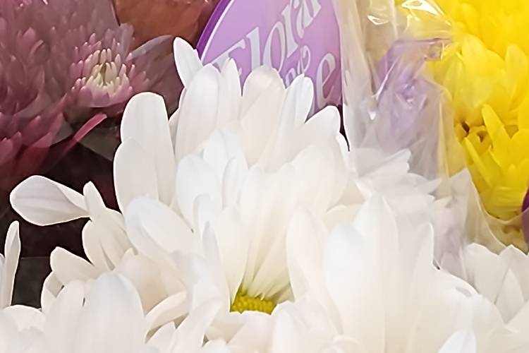 Daisy DIY flowers