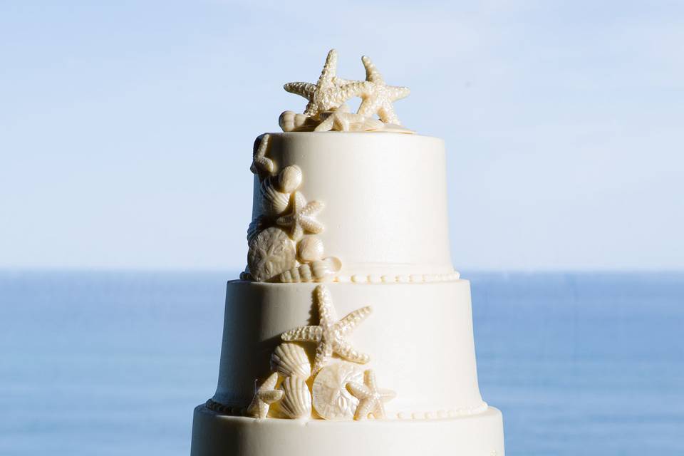 Cake shot at beach