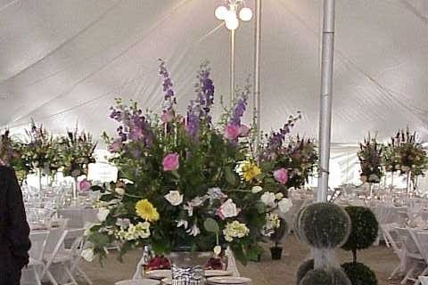 Wedding reception area