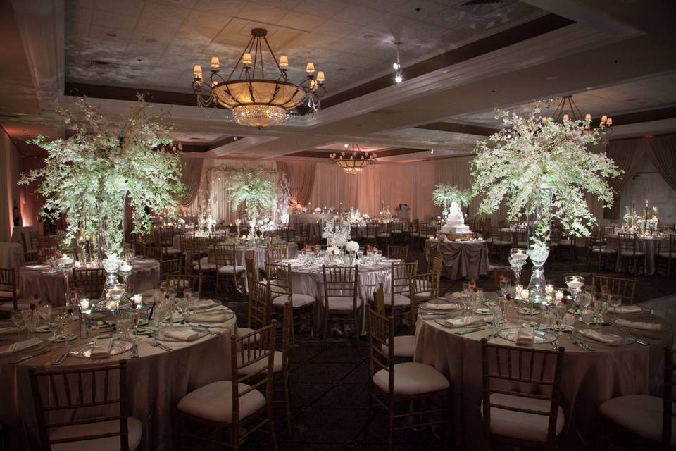 Concorde banquets