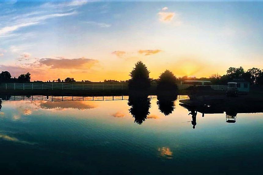 The pond at sunset