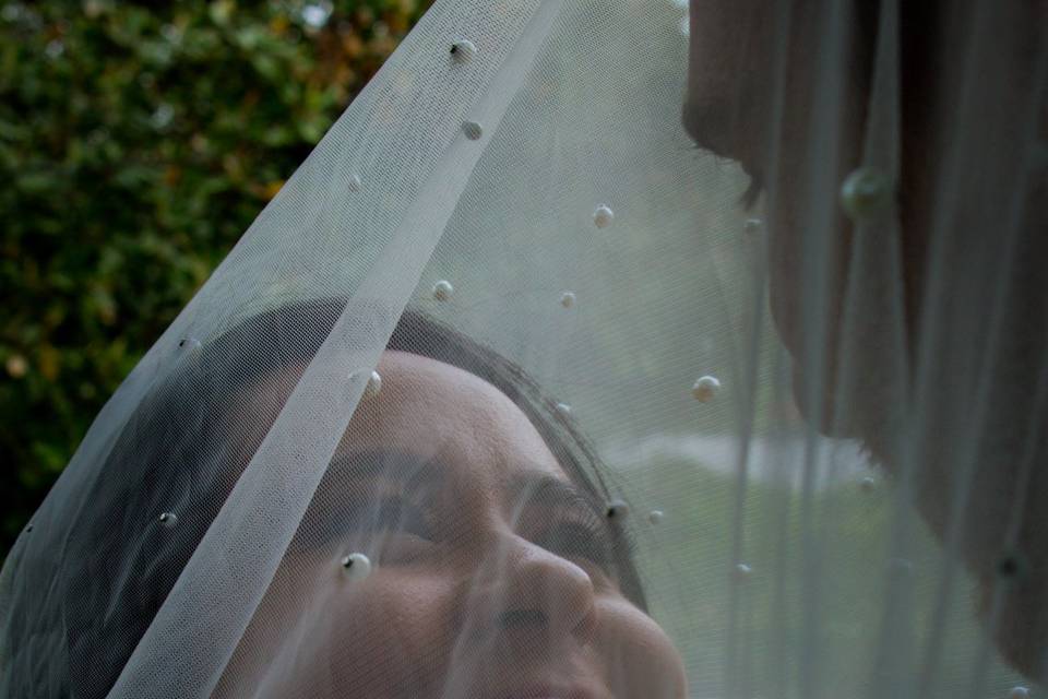 Under The Veil Bride