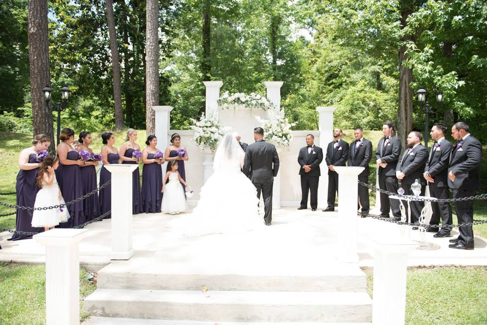 Wedding Party on Stage