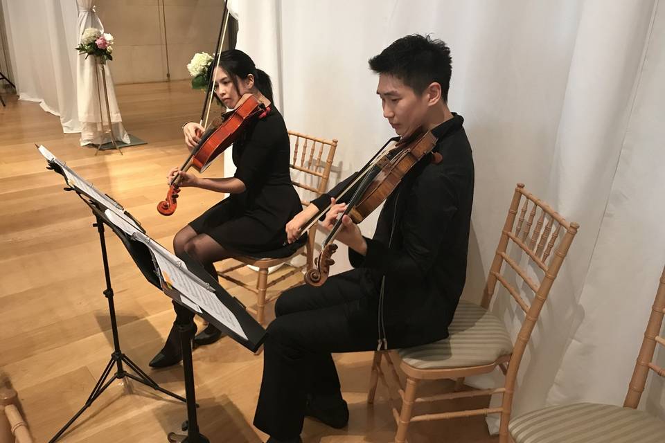 Dallas Asian Strings