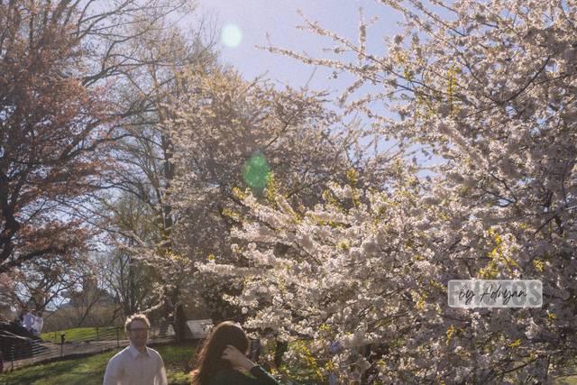 Engagement in spring