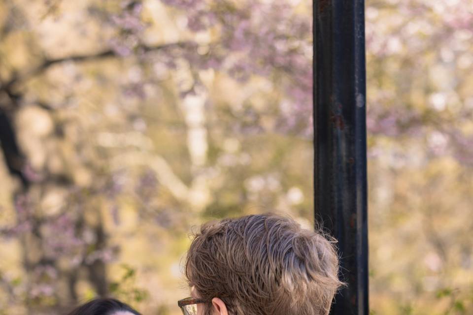 Engagement in spring
