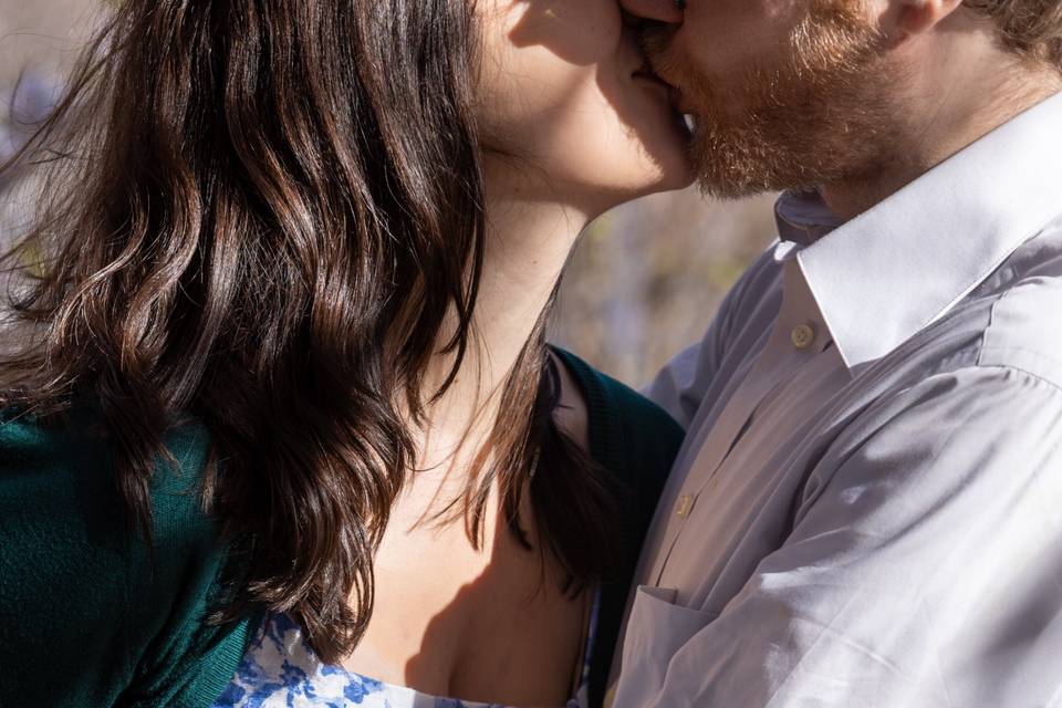 Engagement in spring