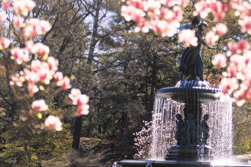 Engagement in spring