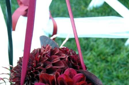 Deep red flowers