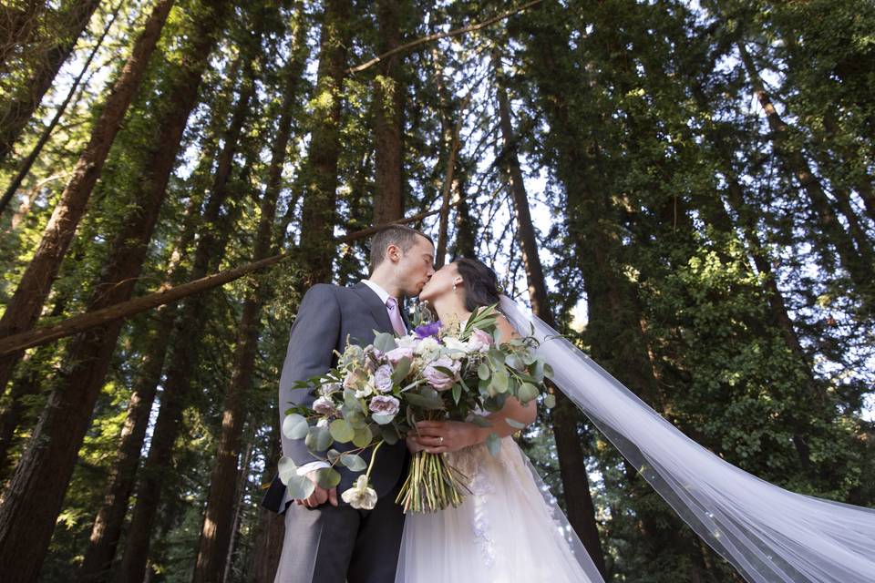 Redwoods-wedding