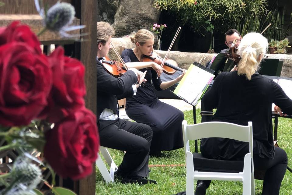 Sunset Strings, Sunken Gardens