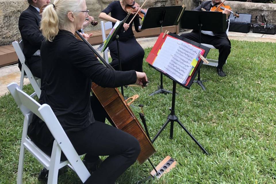 Classic Strings Music Vibe