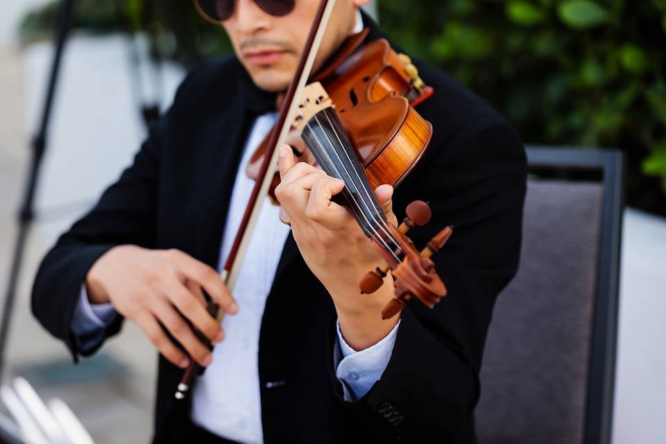 Violinist performing live
