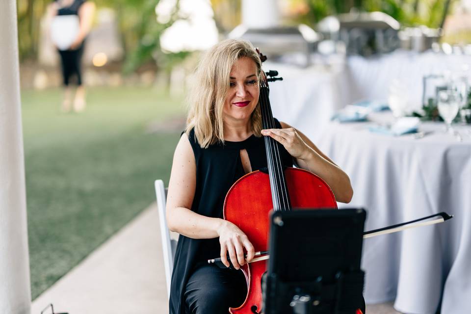 Cellist performing