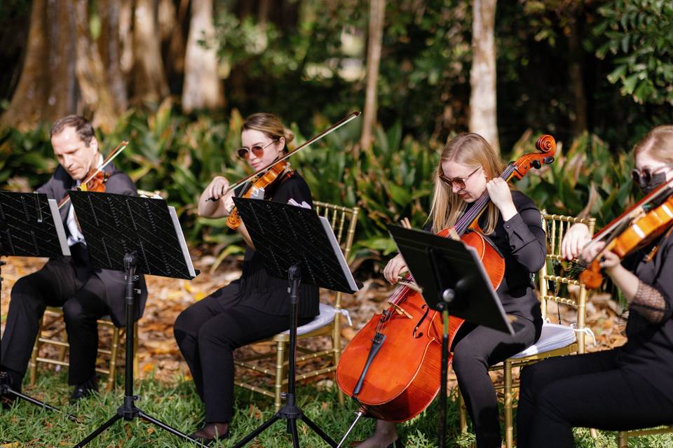 Sunset Strings, Sunken Gardens