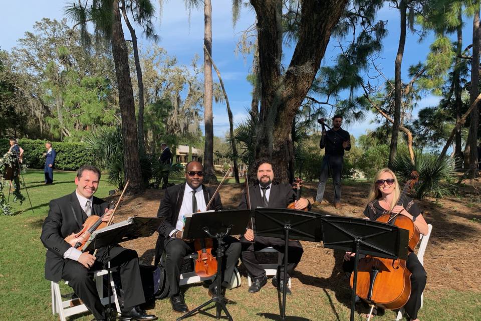 Classical & Pop Music Quartet