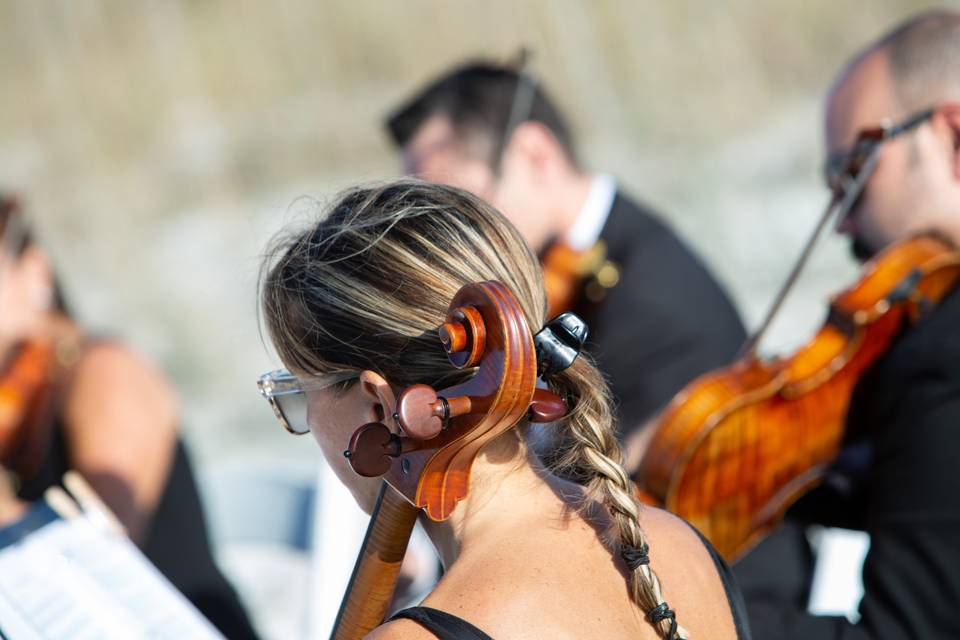 Local Musicians for Weddings