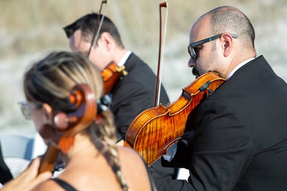 Luxury Wedding String Music