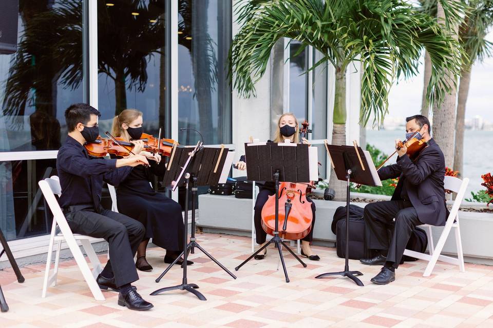 Wedding Music String Quartet