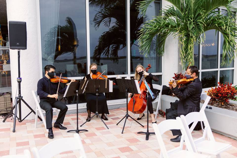 Wedding String Quartet