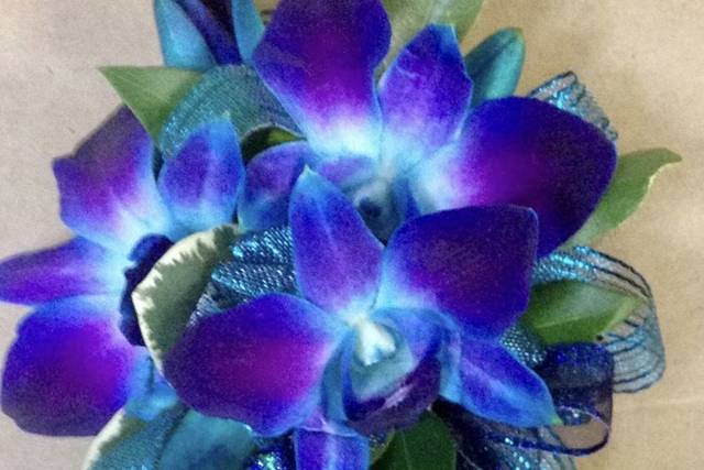 Beautiful colors
